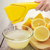 Plastic Manual Citrus Juicer Lemon Squeezer